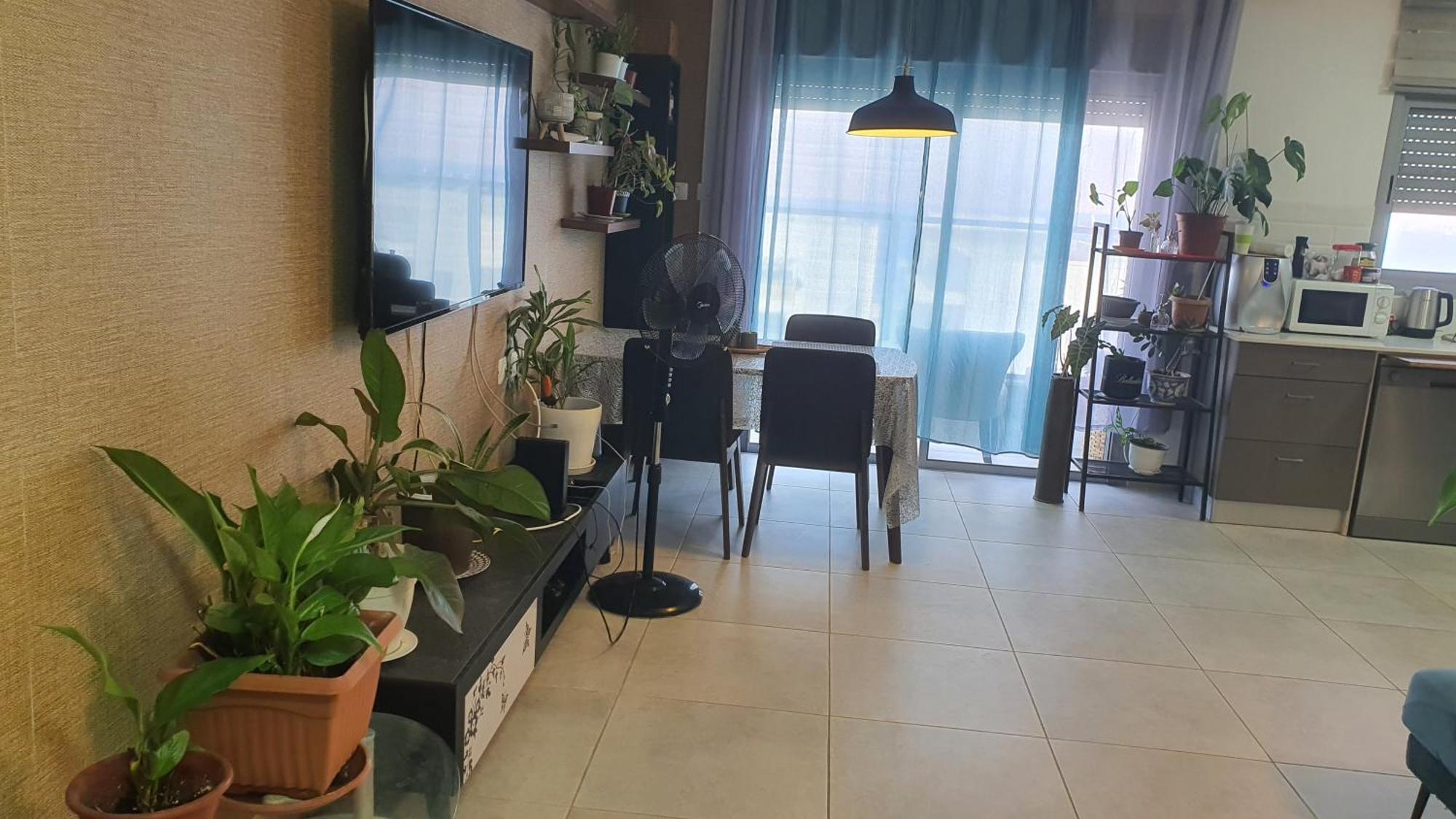 דירה Dream House *